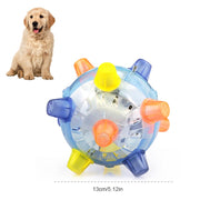 LED Pet Dog Toy