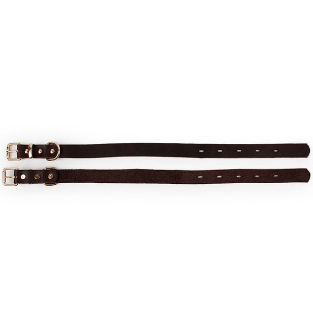Leather Dog Collar Leads Alloy Buckle