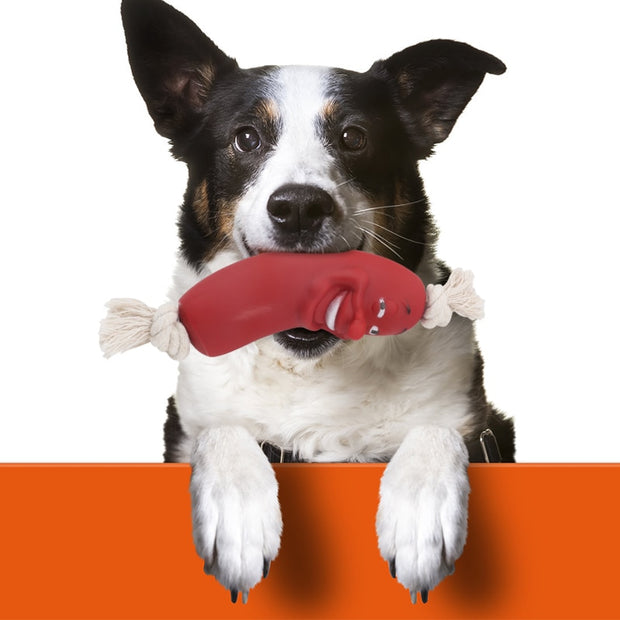 Dog Toys Molar Tooth Cleaner