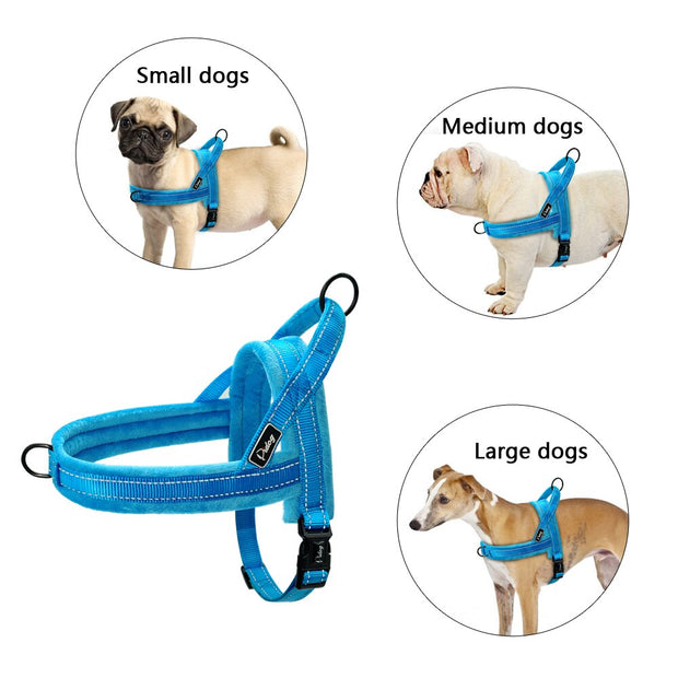 Dog Harnesses Vest