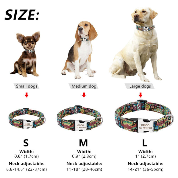 Adjustable Dog Tag Collar