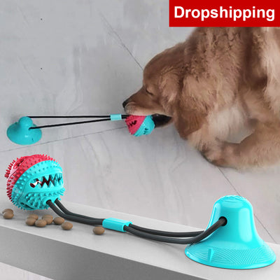 Suction Cup Tug dog toy