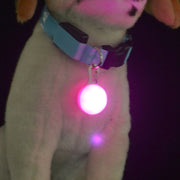 Glowing Pendant dog collar