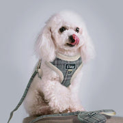 Soft Pet Dog Harnesses Vest